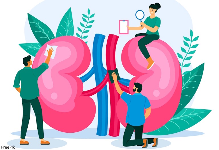 Happy Kidneys being cleaned cartoon.