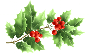 Holly leaf and berry