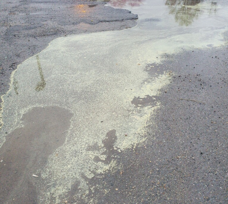 pollen-filled runoff water