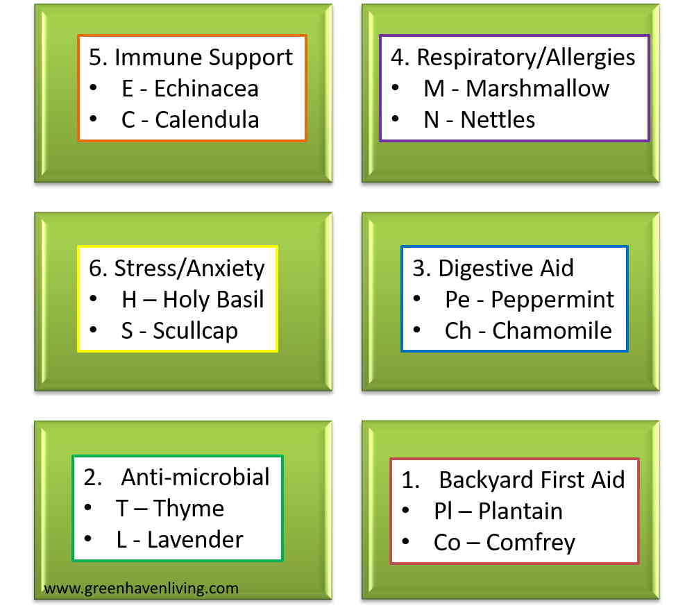 Time to prepare the medicinal herb garden Green Haven Herbalist