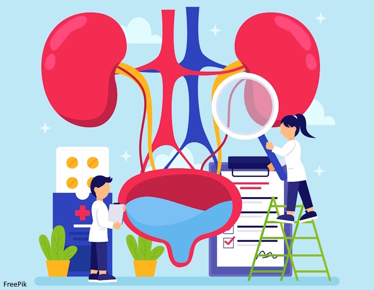 Kidneys being examined cartoon.