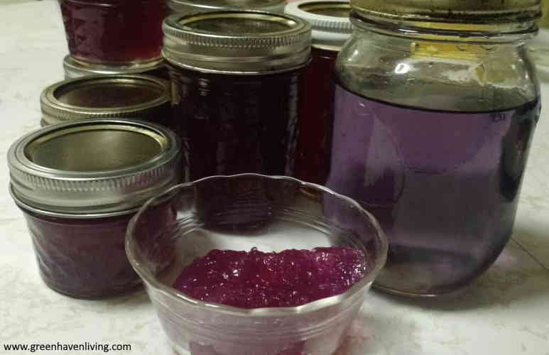 Violet jelly & syrup